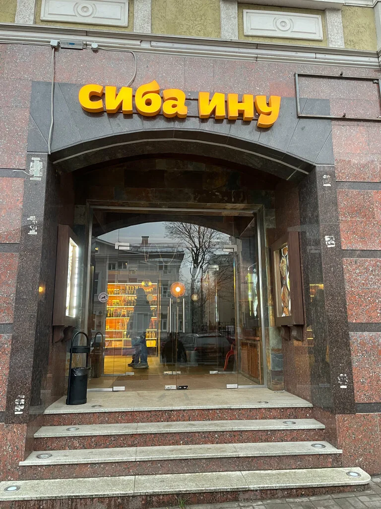 Фотография Сиба Ину