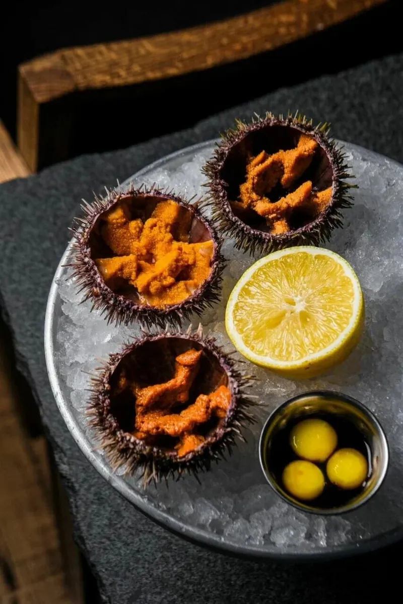 Морские ежи из галереи Кусто